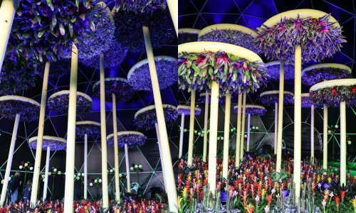 Bundek je ponovno pretvoren u cvjetnu oazu: Evo što vas očekuje na novom izdanju Floraarta