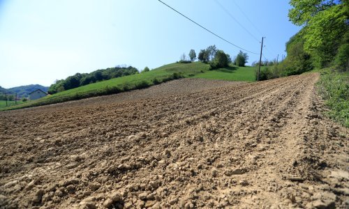 Biskupi u Srbiji nezadovoljni povratom imovine i Zakonom o rodnoj ravnopravnosti
