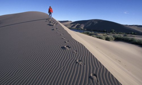 Evo gdje možete izračunati učinke svoga životnog stila na okoliš