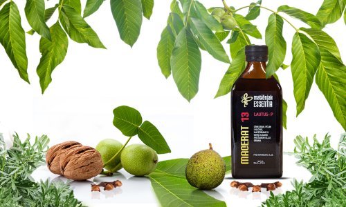 Što je to Macerat 13 Lautus i protiv čega se uspješno bori?