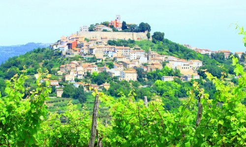 Motovun Film Festival otvara film 'Lovci na tartufe'