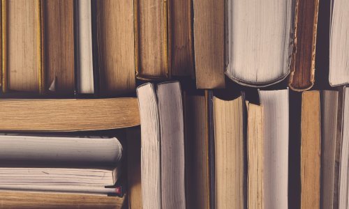 Dvanaest rukopisa u polufinalu V.B.Z.-ove nagrade