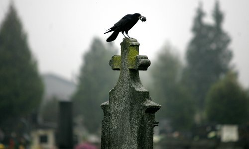 Bračni par Ceausescu ekshumiran zbog identifikacije