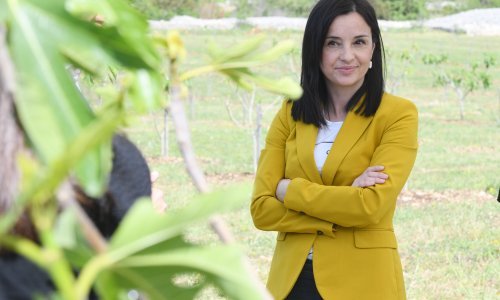 Vučković: Poljoprivreda treba investicije da bi dosegla razvijene zemlje