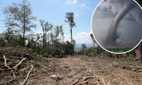 U srpnju 1973. zabilježen je tornado koji je doslovce pomeo jedan dio Medvednice