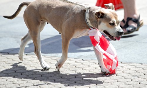Sunčano je i vruće, ali krajem dana stiže promjena: Provjerite gdje će biti pljuskova i grmljavine
