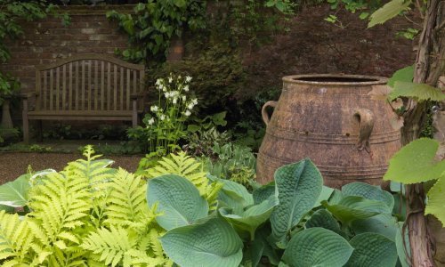 Vrtovi u sjeni odlična su oaza ljeti: Kako urediti i koje biljke posaditi na mjestima bez izravne Sunčeve svjetlosti