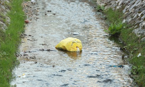 ZazeleniGrad: Greenpeaceovi aktivisti čiste potok Črnomerec