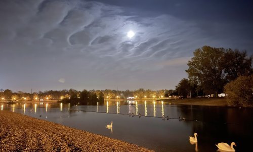 Prvi eko izazov nove zagrebačke vlasti: 'Uskoro više nećete moći gledati krijesnice na Jarunu. Zaustavite zamjenu javne rasvjete'