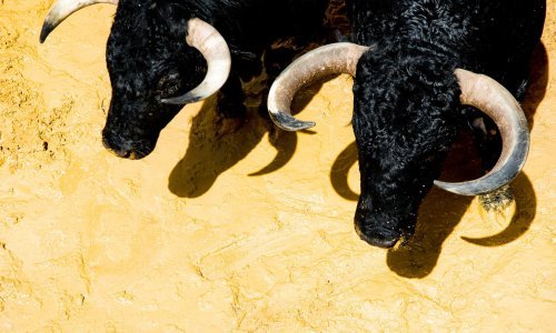 Muškarac iz Čitluka životno ugrožen nakon što ga je teško ozlijedio njegov bik