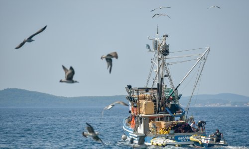 EP odobrio 6,1 milijarda eura za održivo ribarstvo i ribarske zajednice
