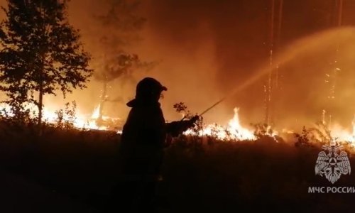 Ekolozi strahuju da bi požari u Rusiji mogli doseći povijesne razmjere