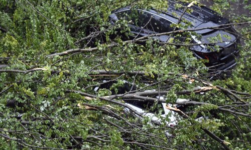 Snažno nevrijeme u Bihaću odnijelo život, iščupano stablo usmrtilo muškarca, 9 osoba ozlijeđeno