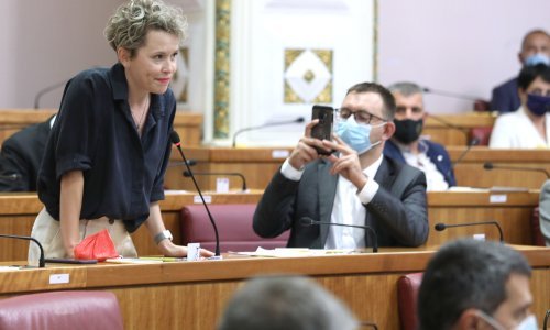 Zamjena u klupama; Radu Borić u Saboru mijenja Ivana Kekin