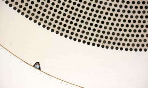 Izložba Ismara Čirkinagića u galeriji Bačva u Meštrovićevu paviljonu