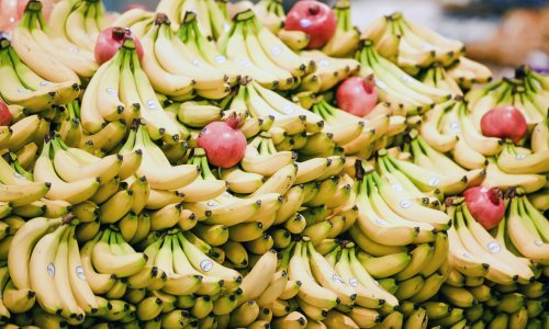 Policija o kokainu među bananama: Zaprimili smo dojavu trgovačkog lanca o pronalasku sumnjive materije