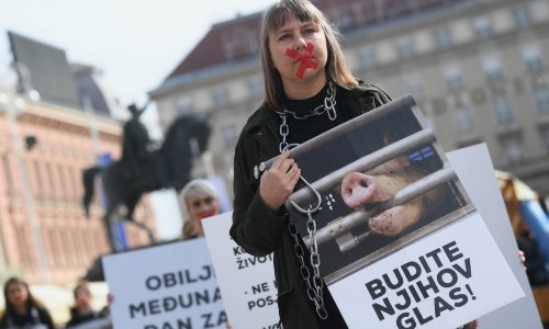 Prijatelji životinja: 10,5 milijuna životinja koristi se u pokusima, u RH 26.000