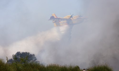 Vatrogasci na terenu; planuo požar kod Drinovaca, pomoć stiže i iz zraka