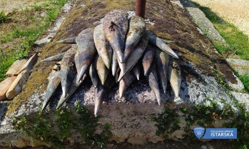 Katastrofa u Fažani: Mladi Poljak pohvalio se da je iz mora izvadio čak 29 periski