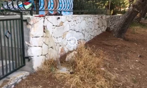 Na Čiovu septičku jamu ispraznio na plažu