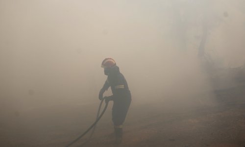 Požar na Hvaru još nije pod kontrolom: U pomoć krenuli vatrogasci iz Splita, Žrnovnice, Dugog Rata i Podstrane, podignuta dva kanadera