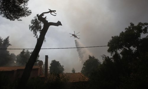 Šumski požar u Turskoj prijeti naseljenim područjima blizu antalijskog ljetovališta