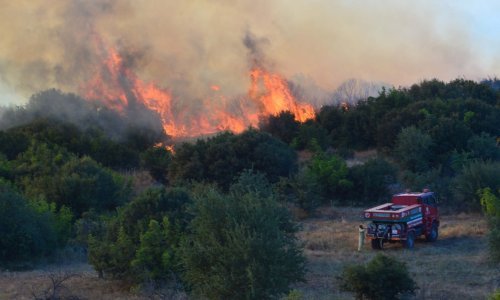 Jedan mrtav, 10 zarobljeno u šumskom požaru na jugu Turske