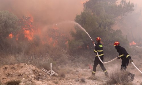 [FOTO] Požar kod Segeta i dalje divlja, gase ga vatrogasci iz pet županija: 'Branit ćemo kuću po kuću'