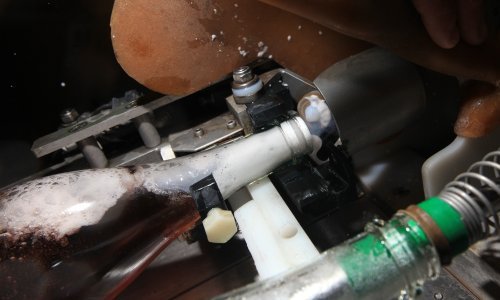 Muškat momjanski 18. hrvatsko vino sa zaštićenom oznakom izvornosti u EU