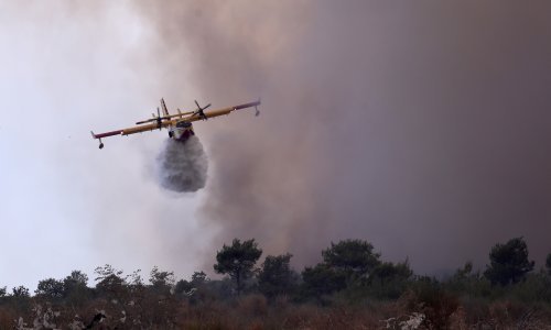 U Segetu Gornjem izgorjelo oko 800 hektara raslinja, makije i šume