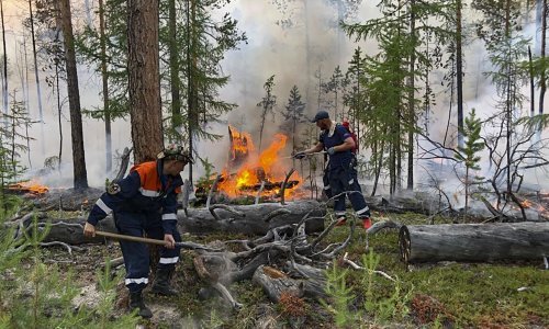 Razorni šumski požari haraju Sibirom, ruska vojska pokuvašava ih obuzdati