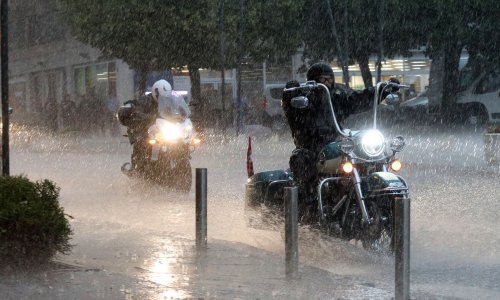 HAK upozorava na dvije životinje na autocestama i na veliku količinu vode na kolnicima
