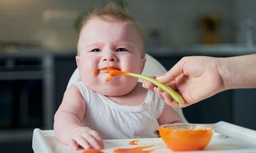 Rijeka počinje sufinancirati djelatnost dadilja