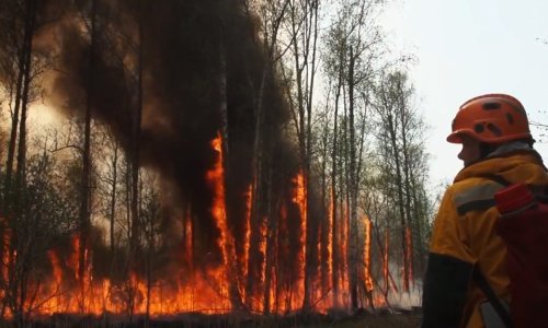 Izvanredno stanje u osam ruskih regija, 250 požara bjesni na tri milijuna hektara zemlje