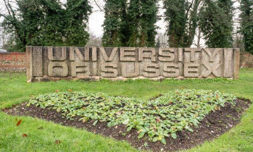 'Jednostavna intervencija': Britansko sveučilište nagradit će cijepljene studente, svi ulaze u ždrijeb