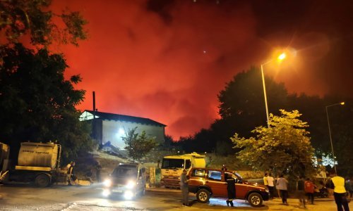 Muškarac poginuo u šumskom požaru u Grčkoj, turisti evakuirani