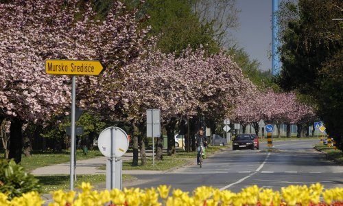 Skupina mladića u Čakovcu pijana devastirala gradsku šetnicu; čupali su posađeno cvijeće i trgali stolice s terasa, svi su uhićeni