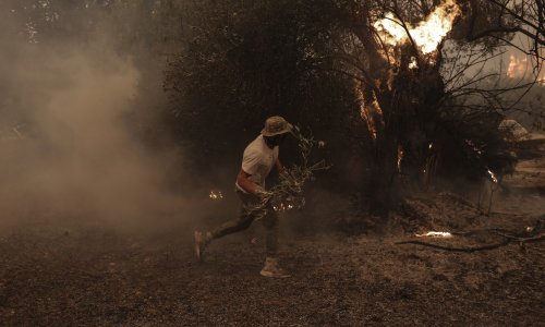 U Alžiru 42 osobe, od čega 25 vojnika poginulo u požarima na sjeveru zemlje
