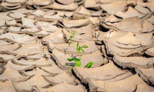 Europska središnja banka: Posljedice klimatskih promjena mogle bi teško pogoditi banke u eurozoni