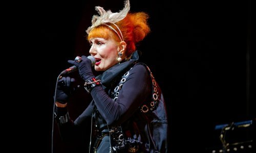 Josipa Lisac: 'Svake godine ja sam ionako u samoizolaciji: na proljeće zbog breze, na jesen zbog ambrozije, pa mi korona nije pala toliko teško'