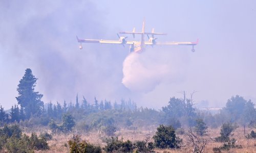 [FOTO/VIDEO] Buknuo požar kod Nadina: Na terenu je osam vozila, air tractor i kanader, a za sve je kriva guma kamiona