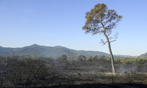Francuski vatrogasci se bore s požarom u južnoj regiji Var