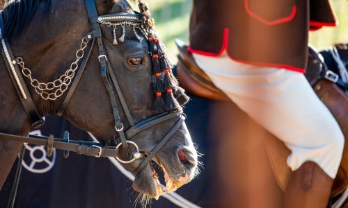 Podizanjem zastave u Barbanu otvorena 46. Trka na prstenac