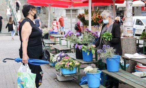 Minimalna potrošačka košarica iznosi 7800 kuna, a ona dostojna življenja 10.500