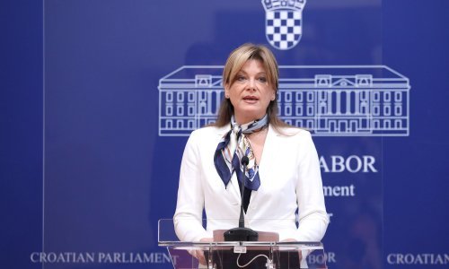 [VIDEO] Vidović Krišto interpelacijom traži odgodu popisa stanovništva: Vlada ima sumnjive političke ciljeve