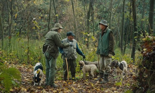 Jaki talijanski aduti za reviju najboljih motovunskih filmova u Laubi