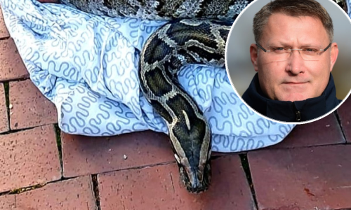 [FOTO/VIDEO] Nije Lucy usamljena, sjećate li se 5,5-metarskog pitona s Jaruna koji je čuvao marihuanu? Šef zagrebačkoga ZOO-a otkrio nam je najbizarnije slučajeve s kojima se susreo