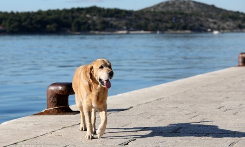 Jutro sunčano, kiša popodne stiže u Gorski kotar, Liku i na sjeverni Jadran