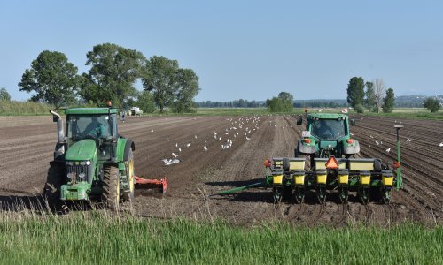 Stiže aplikacija za poljoprivrednike; eSavjetnik dat će ključne informacije svakom farmeru