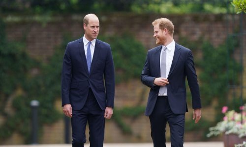 Odnos kraljevske braće ne napreduje jer se princ William teško miri s nekim stvarima